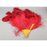 A shaded cerise ostrich feather fan, 1920’s the curled feathers mounted on butterscotch yellow