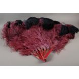 Fan Dancing! An ostrich feather fan, oversized, with deep plum plumes shading almost to black,