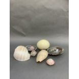 Various seashells and an ostrich egg
