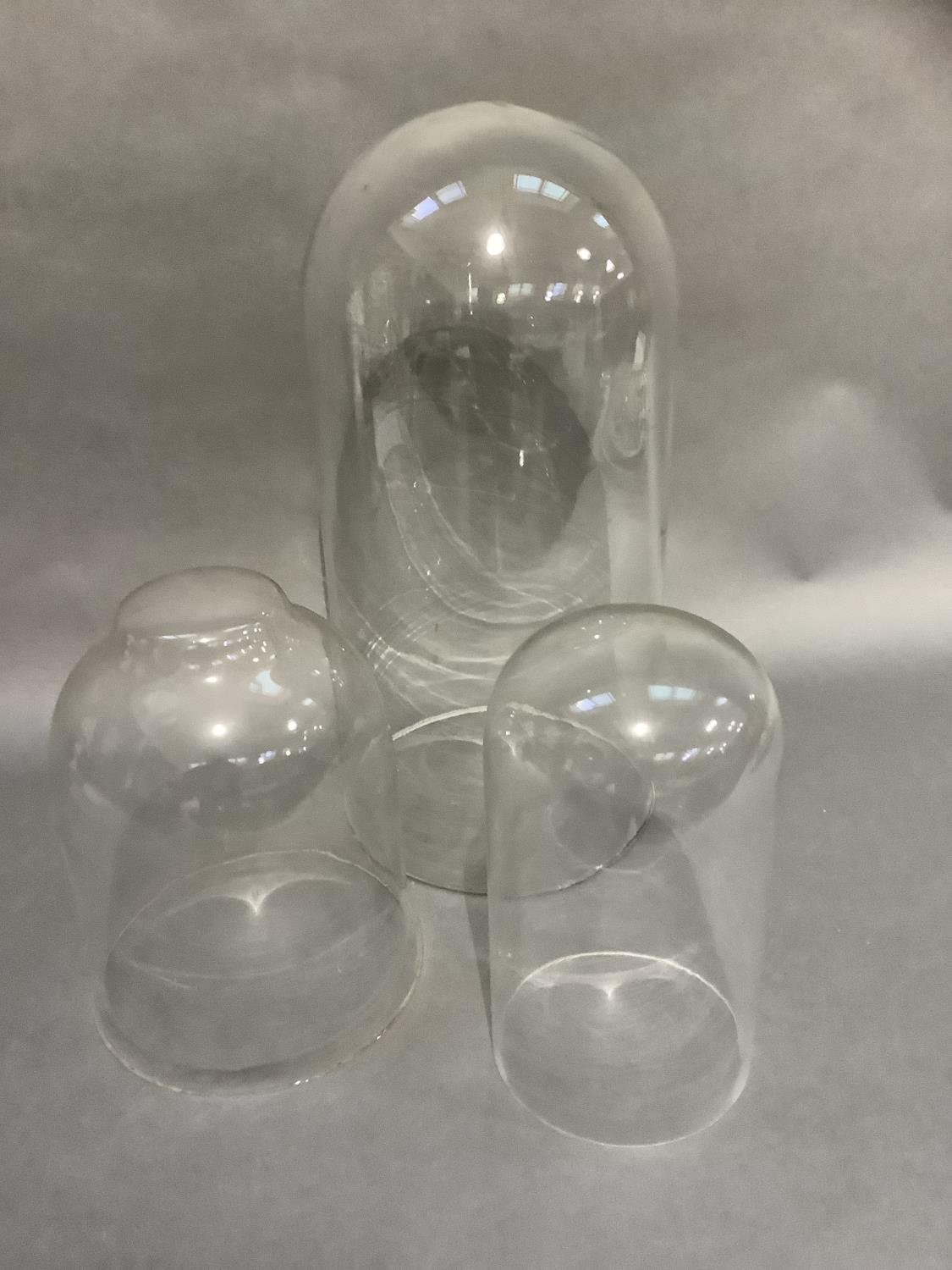 Three glass domes measuring approximately 45cm, 27cm and 26cm - Image 3 of 3
