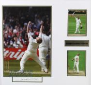 Andrew Freddie Flintoff England Cricket photographs x3 mounted in a gilt frame with signature,