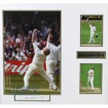 Andrew Freddie Flintoff England Cricket photographs x3 mounted in a gilt frame with signature,