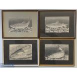 4x Framed Pencil Trout Etchings by D J Tipping, all framed under galls in a mixture of frames #
