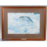 Framed Print of a Leaping Salmon by Spencer Roberts, professionally framed and mounted under