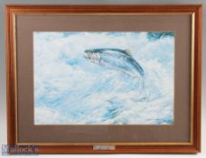 Framed Print of a Leaping Salmon by Spencer Roberts, professionally framed and mounted under