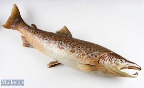 Cast Salmon in Autumn colours, #92cm long, with mount fixing to back ready for display