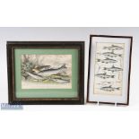2x Period Fishing Framed Engravings, of salmon gulse or young salmon trout parr by John Miller 28.