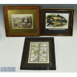 10 x Faulkners Angling cigarette cards fishing, mounted and framed part set35cm x 30cm, plus print