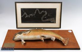 Taxidermy Mounted Salmon 6 1/2 lb, with a map of where it was caught at red rock pool St Jean