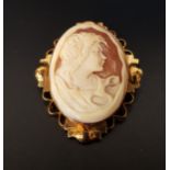 SHELL CAMEO BROOCH depicting a female bust in profile, in nine carat gold mount, 4.5cm high