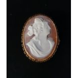 SHELL CAMEO BROOCH depicting a female bust in profile, in nine carat gold mount with safety chain,