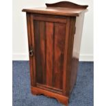 EDWARDIAN MAHOGANY POT CUPBOARD with a shaped and raised back above a moulded top, with a panelled