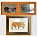 SELECTION OF RETRO PICTURES comprising a William Finch metallic etched prowling tiger, 30cm x