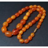 GRADUATED AMBER BEAD NECKLACE the largest bead approximately 1.5cm long, total weight