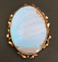 BUTTERFLY WING BROOCH in scroll decorated nine carat gold mount, 5.7cm high