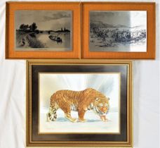 SELECTION OF RETRO PICTURES comprising a William Finch metallic etched prowling tiger, 30cm x
