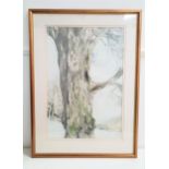 OSCAR GOODALL The tree, pencil and watercolour, signed and dated '82, label to verso, 68.5cm x 47cm