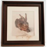 ALBRECHT DURER Study of a hare, print, monogrammed, 24.5cm x 22cm