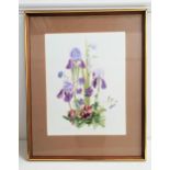 M.B.MUIR Irises, watercolour, signed and dated 1979, 45.5cm x 35.5cm