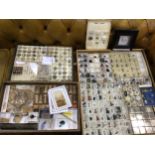 A mixed collection of ores, shells and micro-samples of crystals, sand samples, framed Wentletrap,