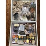 Two shelves of specimen rocks, crystals, minerals and polished crystal healing eggs etc.