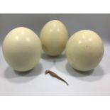 Three blown Ostrich eggs together with a Seahorse