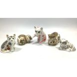 Five assorted Royal Crown Derby Kitten paperweights comprising 'Flora', an exclusive release as part