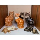 A collection of six 'Studio Six' of Fulham, pottery figures of cats, each with marks to bases (