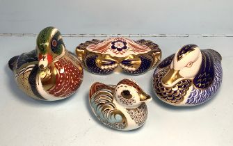 Four assorted Royal Crown Derby paperweights comprising a 'Collector's Guild Duckling', 'Carolina
