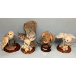 A collection of assorted ceramic models of birds including a Royal Doulton Barn Owl and a Franklin