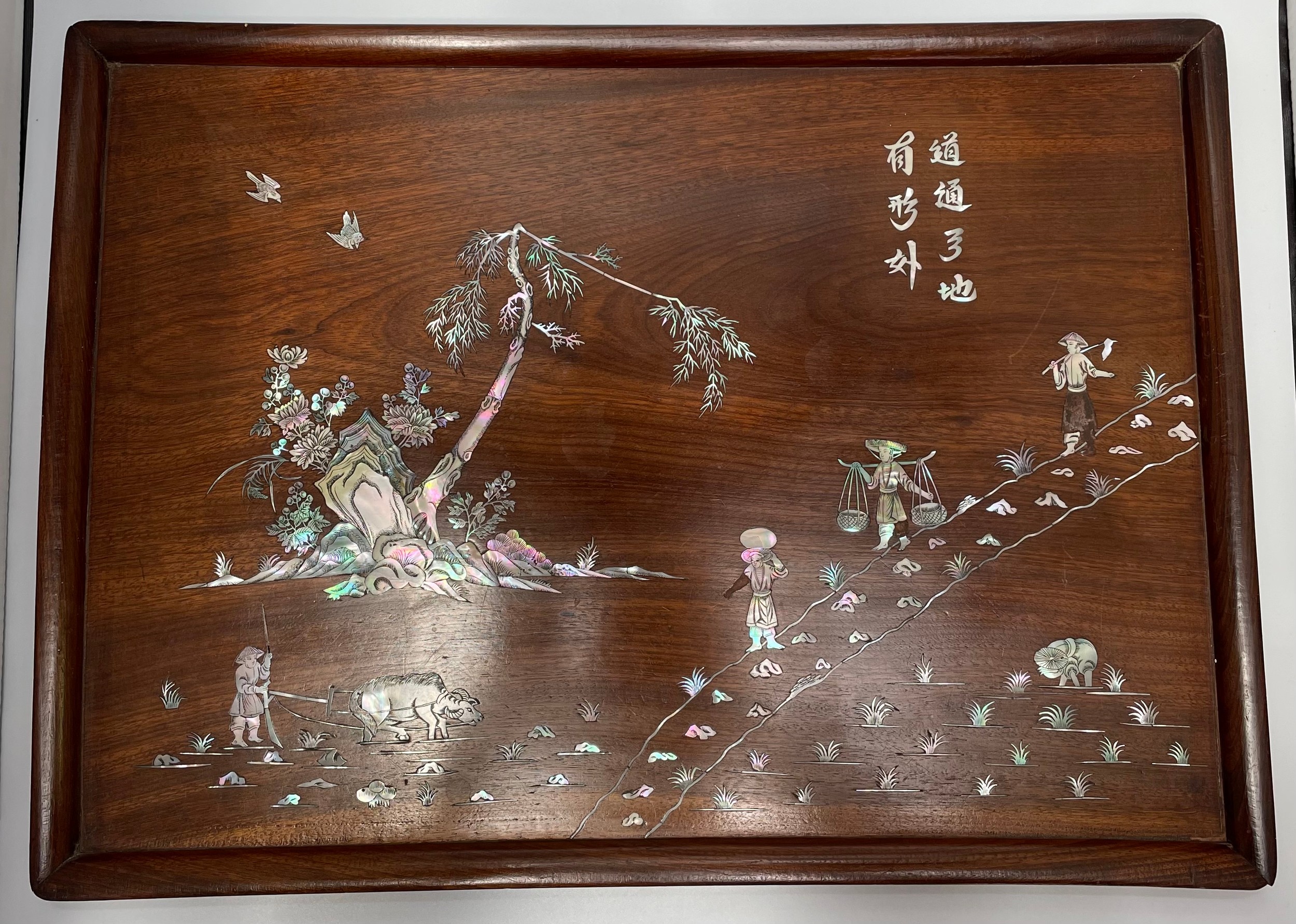 A pair of Chinese mother-of-pearl inlaid rosewood panels / trays, inlaid with character marks, - Image 5 of 6