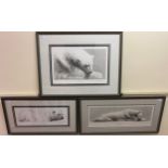 Gary Hodges (b.1954) ‘Bearback’, ‘Arctic Slumber’ and ‘The Snow Bear’ pencil signed, limited edition