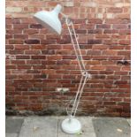 A floor standing white metal Anglepoise style lamp raised on circular base, approx. 200cm high