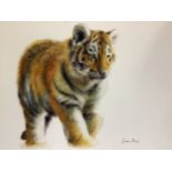Lynne Davies (British, Contemporary) ‘Here Comes Trouble’, study of a tiger, unframed print on