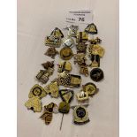 Speedway : Badges - Coventry - good lot 1960s onwa