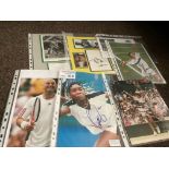 Tennis : Autographed (mounted on card) Edberg, pho