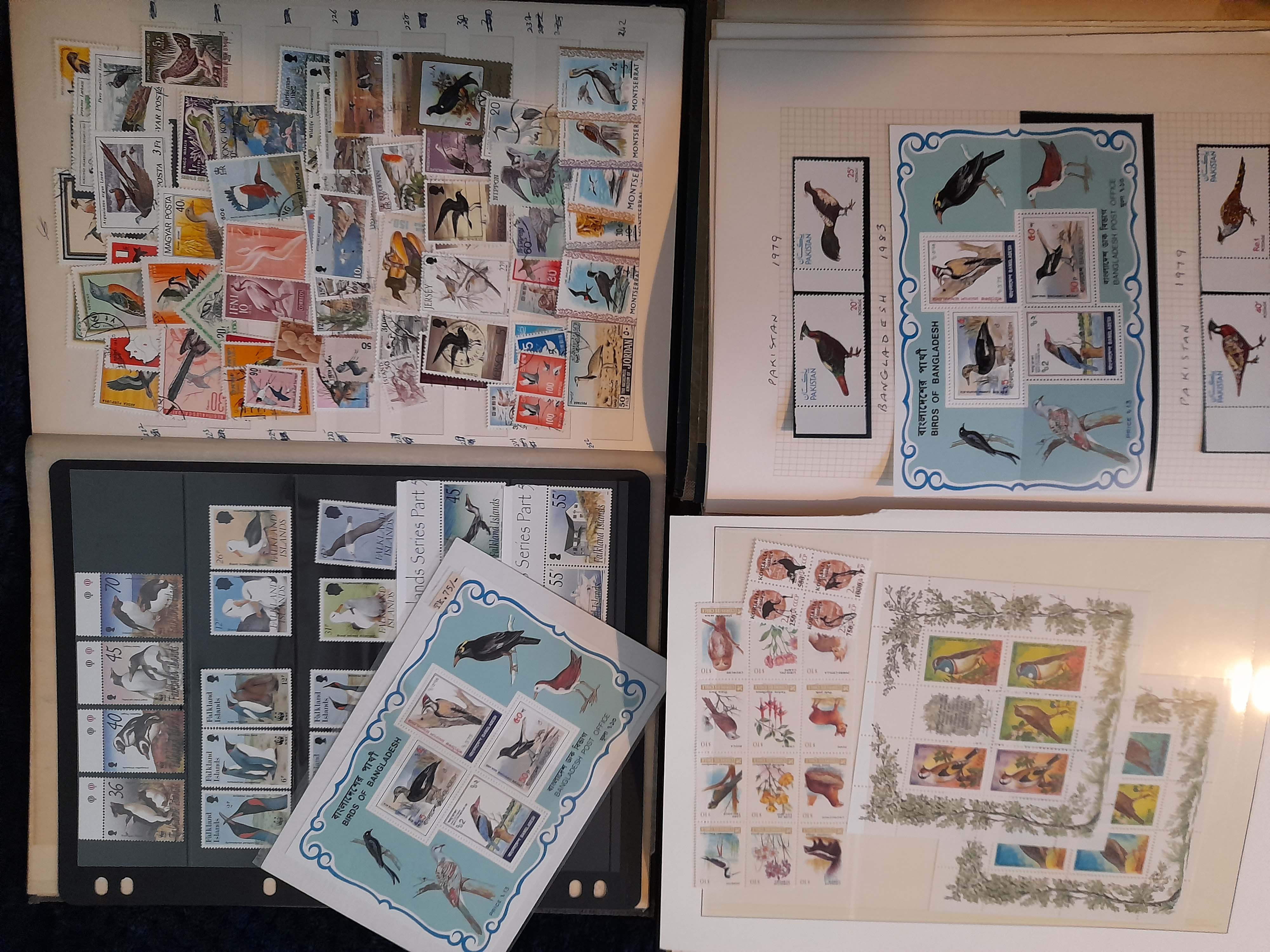 Stamps : BIRDS fine accumulation in 2 Albums, Stoc - Image 4 of 5