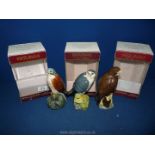 Three Royal Doulton Whyte and Mackay whisky decanters: boxed Buzzard, Kestrel and Merlin,