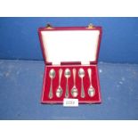 A cased set of six Silver teaspoons, Sheffield 1972, maker Roberts and Belk.