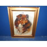 A framed Oil painting of a dog, unsigned.