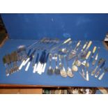 A bone handled, epns cake slice, bread knife, fish knives/forks, mother of pearl pickle fork,