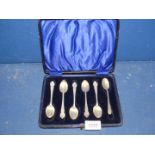 Five Silver teaspoons (boxed), London 1895 William Hutton & Sons Ltd.