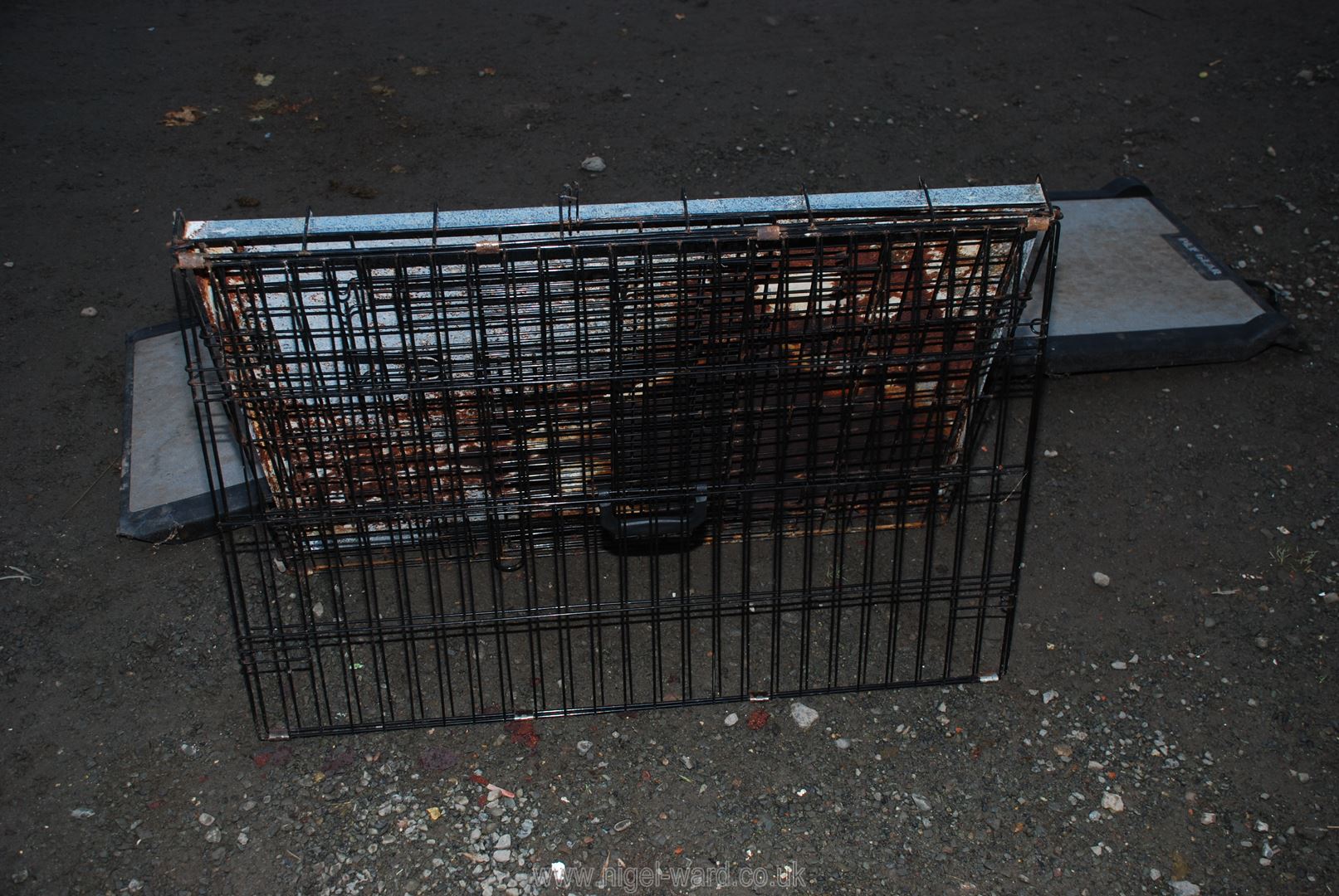 A folding pet ramp and metal dog crate. - Image 2 of 2