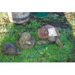 Three concrete Tortoises,