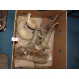 A quantity of Horns including Buffalo, Rams etc and a fur training lure.