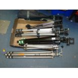 Five tripods including a Miranda Titan 808 in carry bag, a Studex heavy metal tripod,