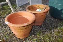 Two 13" terracotta pots