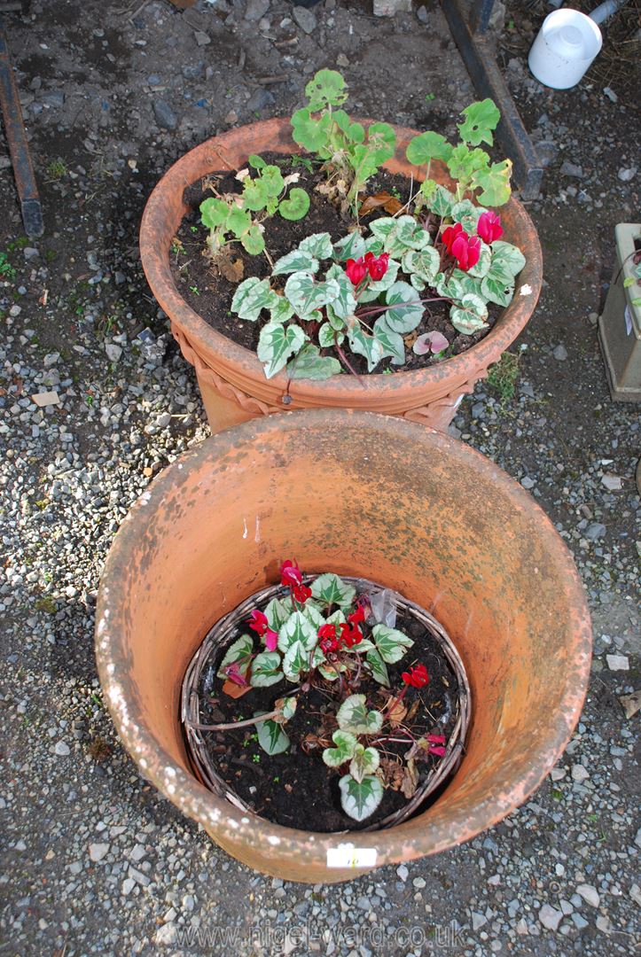 Two terracotta garden Pots with rope design, - Image 2 of 2