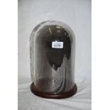 A smoked glass Dome, on wooden base, 10" tall.