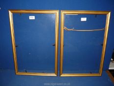 Two gilt coloured picture frames with glass, aperture size 12 1/4'' x 19''.